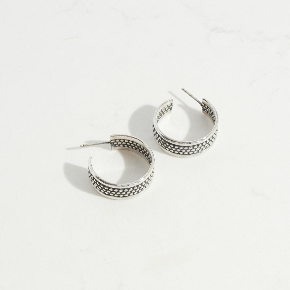 silver_warrior_hoops